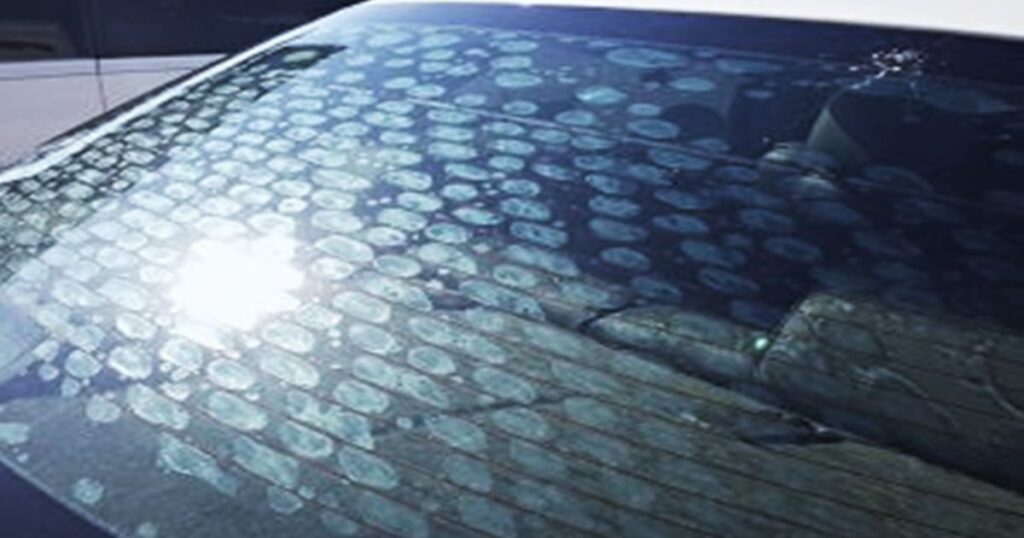 window tint bubbling and turning purple on car glass